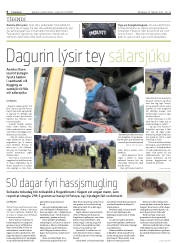 Síða 6