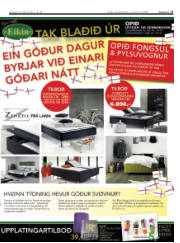 Síða 17