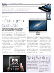 Síða 24