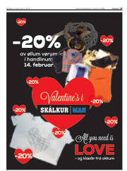 Síða 29
