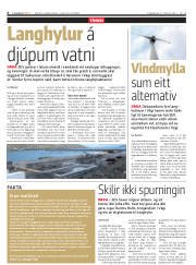Síða 6