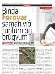 Síða 8