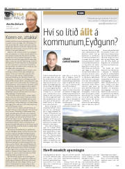 Síða 14