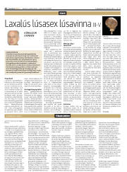 Síða 16