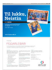 Síða 21
