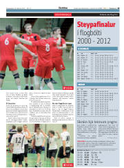 Síða 29