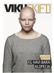 Síða 33
