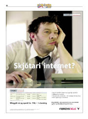 Síða 29