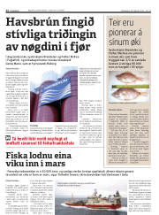 Síða 12