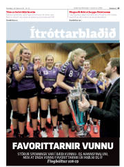 Síða 13