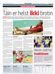 Síða 15