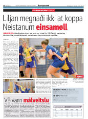 Síða 20