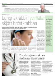 Síða 8