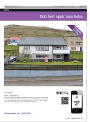 Síða 21