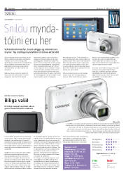 Síða 22