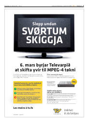 Síða 3