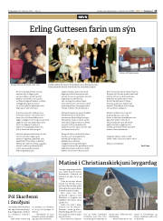 Síða 15