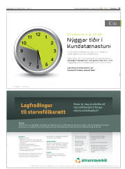 Síða 17