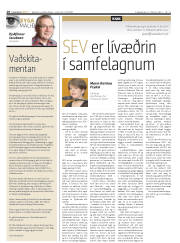Síða 18