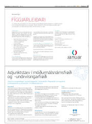 Síða 25