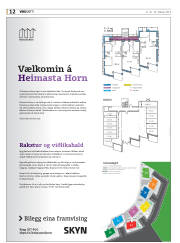 Síða 52