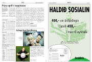 Síða 14