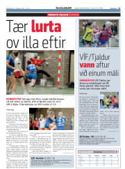 Síða 17