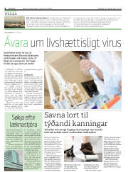Síða 8