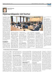 Síða 29