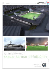 Síða 43