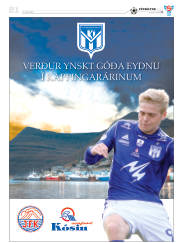 Síða 61