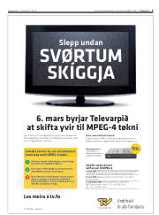 Síða 3