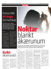 Síða 6
