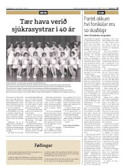Síða 13