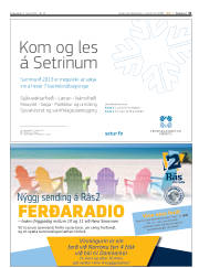 Síða 31