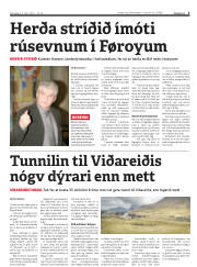 Síða 5