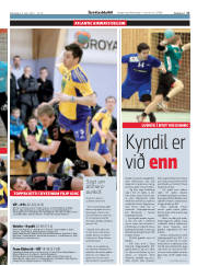 Síða 17