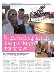 Síða 22