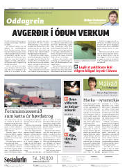 Síða 2