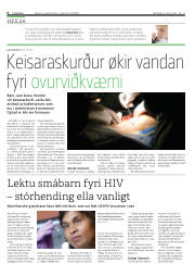 Síða 6