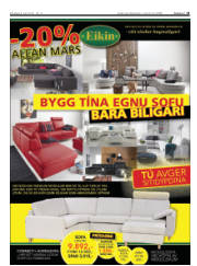 Síða 13