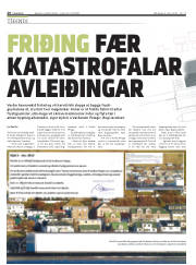 Síða 20