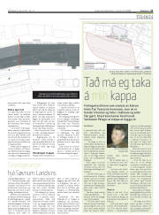 Síða 21