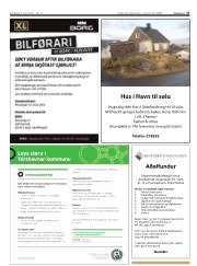 Síða 27