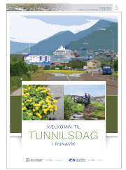 Síða 41