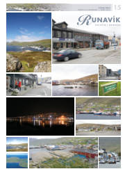Síða 51