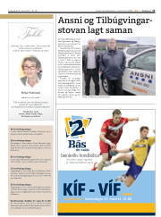Síða 13