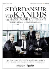 Síða 17