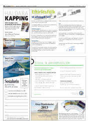 Síða 24