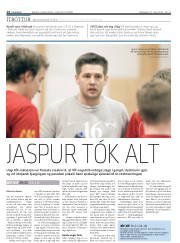 Síða 14